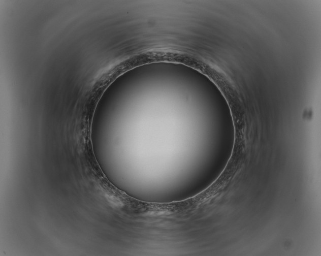 X0000093150870200709261443