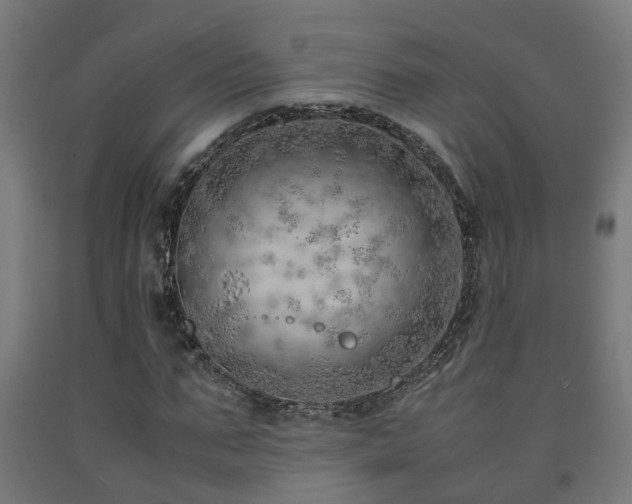 X0000093150871200709261443