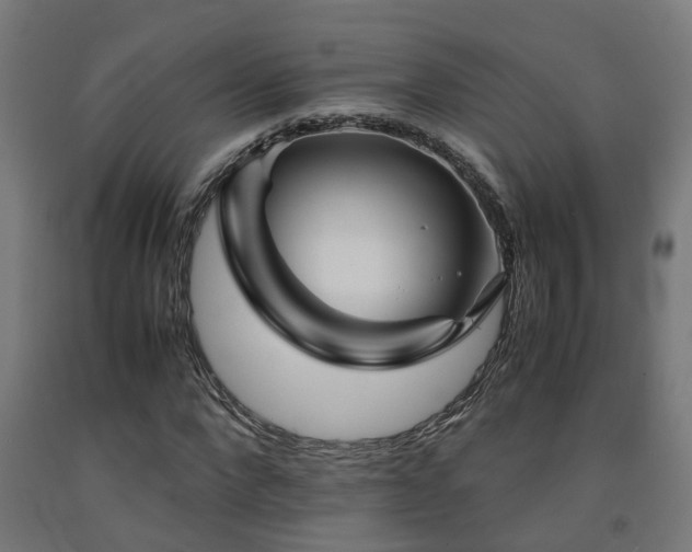X0000093150872200709261443