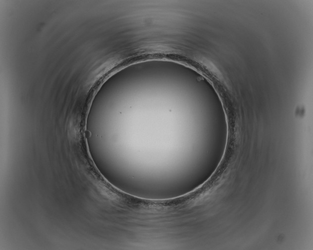 X0000093150873200709261443