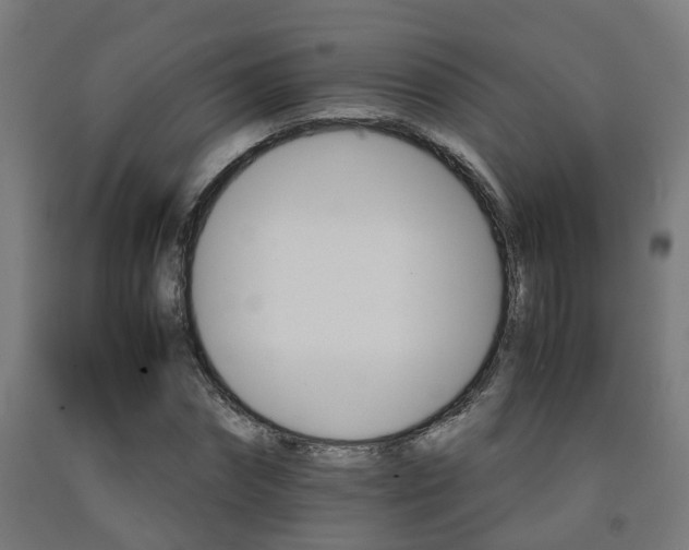 X0000093150874200709261443