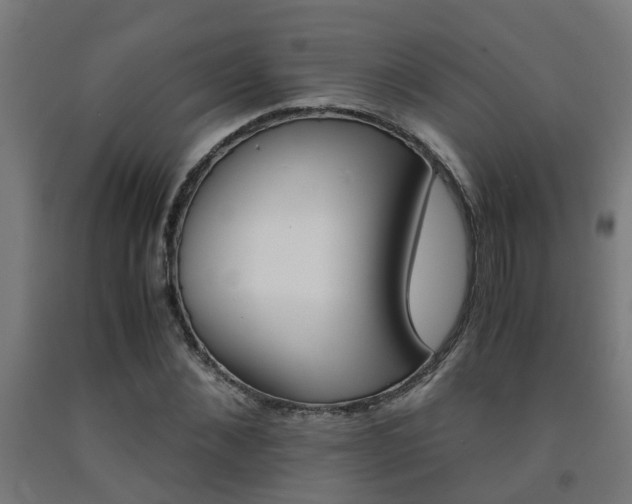 X0000093150876200709261443