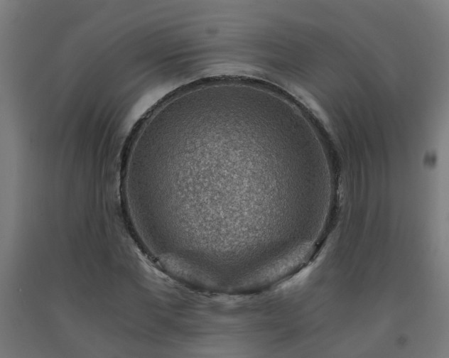 X0000093150877200709261443