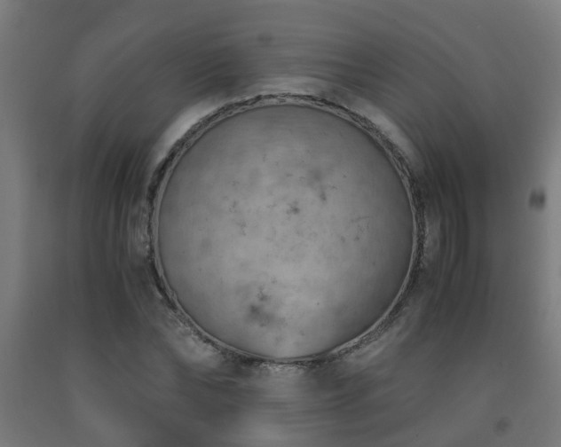 X0000093150878200709261443