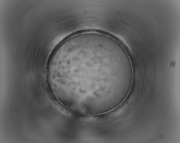 X0000093150879200709261443