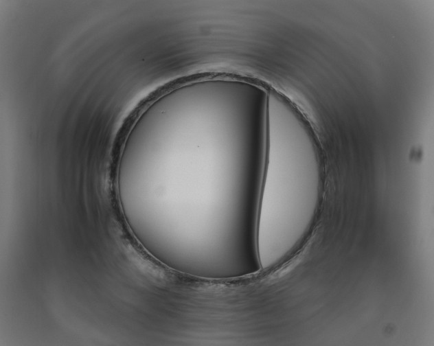 X0000093150880200709261443