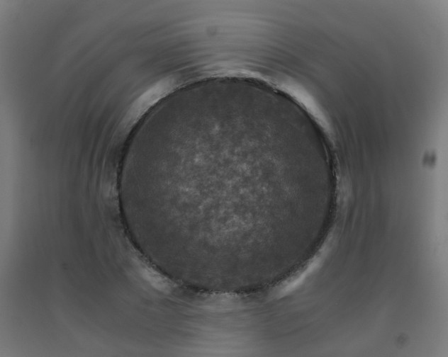 X0000093150881200709261443