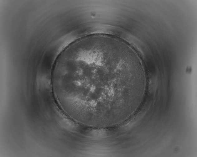 X0000093150882200709261443
