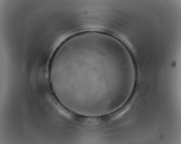 X0000093150883200709261443