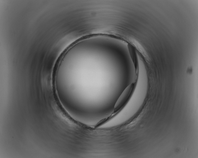 X0000093150884200709261443