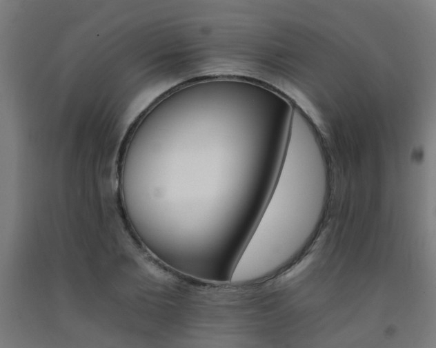 X0000093150885200709261443