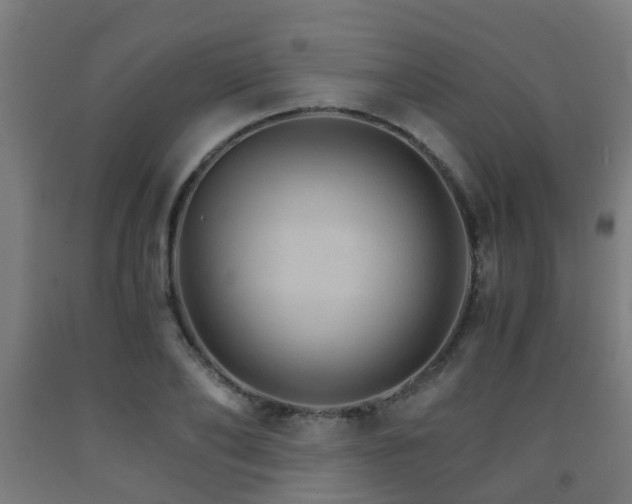 X0000093150886200709261443