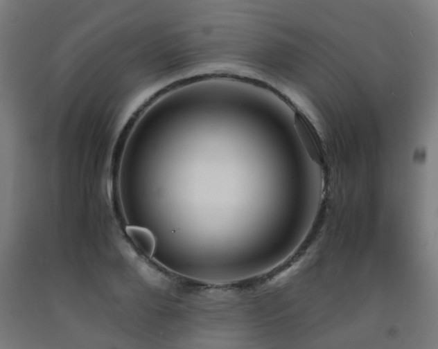 X0000093150888200709261443