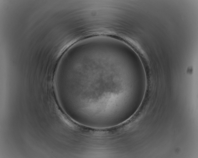 X0000093150889200709261443