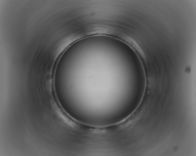X0000093150890200709261443