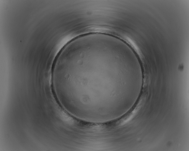 X0000093150891200709261443