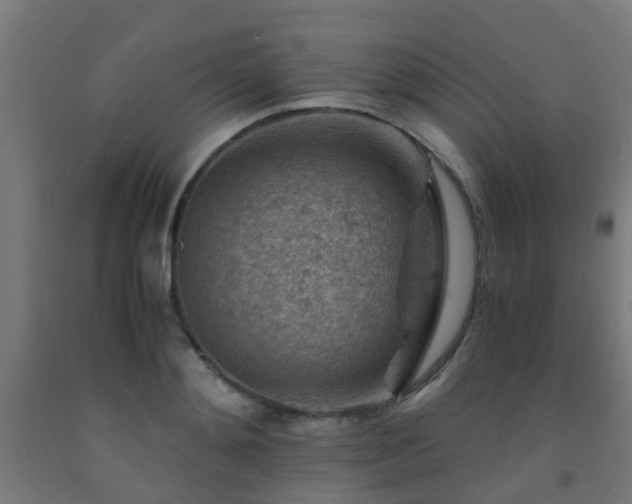 X0000093150892200709261443