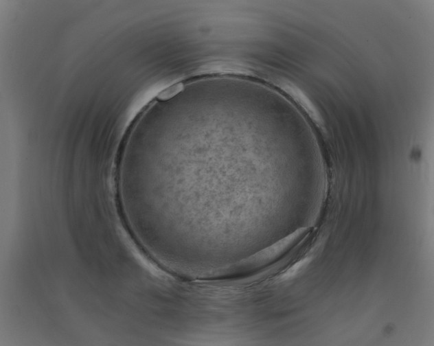 X0000093150893200709261443