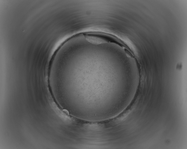 X0000093150896200709261443