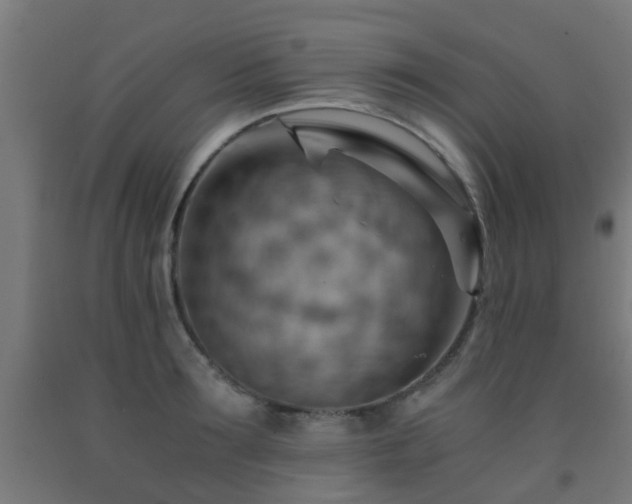 X0000093150899200709261443