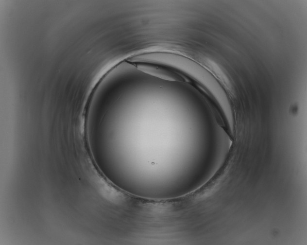 X0000093150900200709261443
