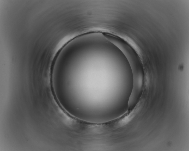 X0000093150902200709261443
