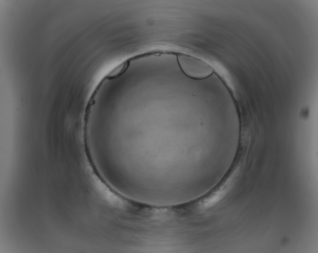X0000093150903200709261443