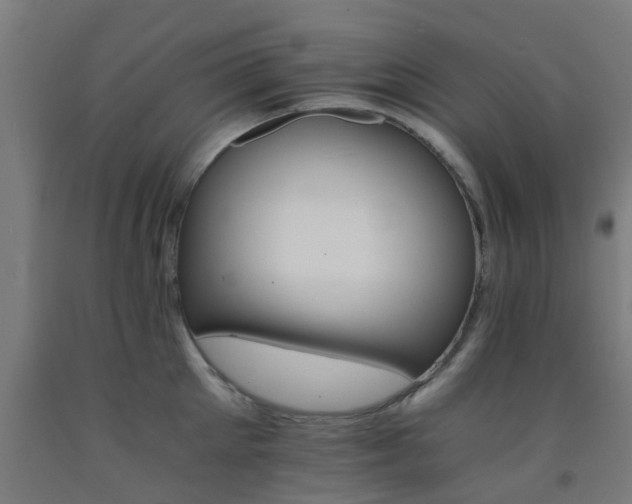 X0000093150905200709261443