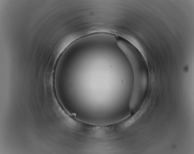 X0000093150906200709261443