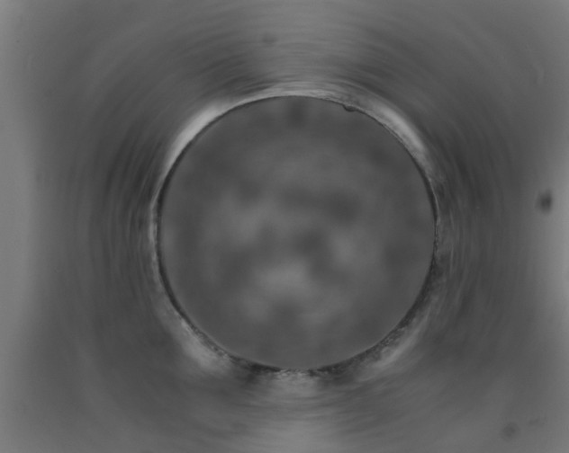 X0000093150907200709261443