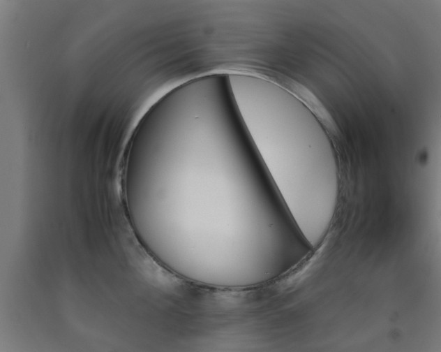 X0000093150908200709261443