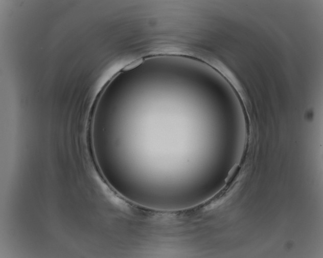 X0000093150909200709261442
