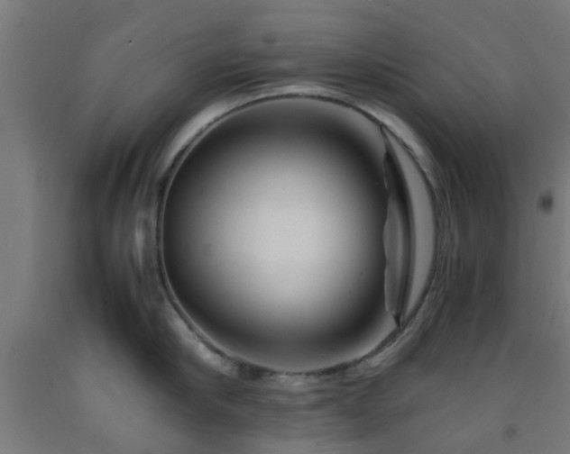 X0000093150910200709261442