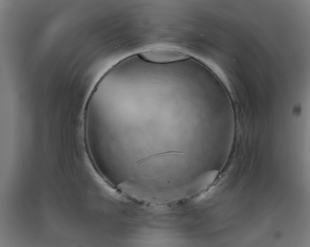 X0000093150911200709261442
