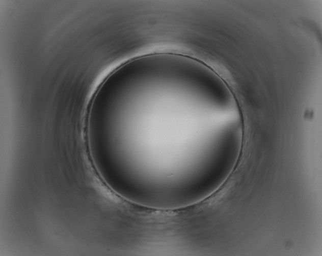 X0000093150912200709261442