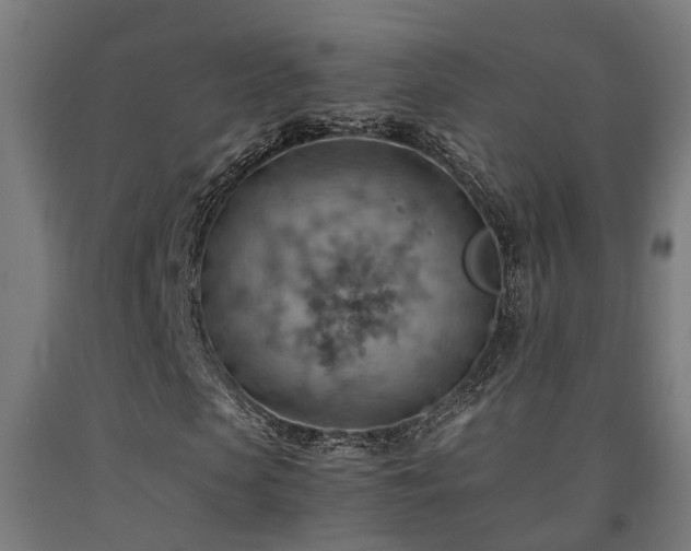 X0000093150913200709261442