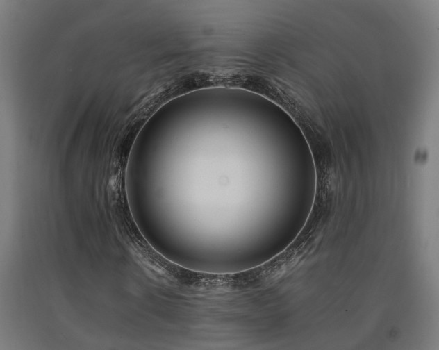 X0000093150914200709261442