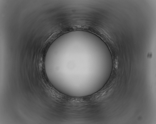 X0000093150915200709261442