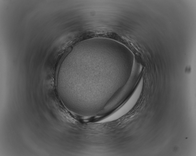 X0000093150916200709261442