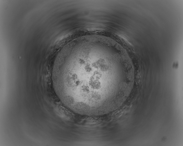 X0000093150917200709261442