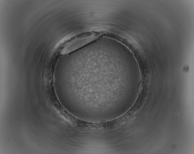 X0000093150920200709261442
