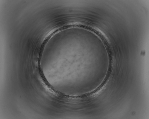X0000093150921200709261442