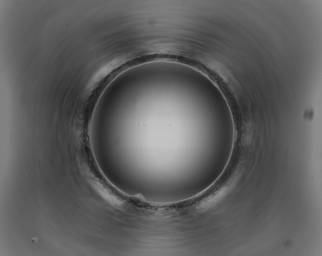 X0000093150922200709261442