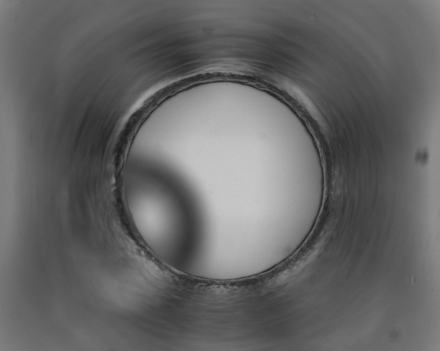 X0000093150923200709261442