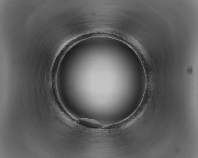 X0000093150924200709261442