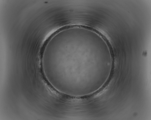 X0000093150925200709261442
