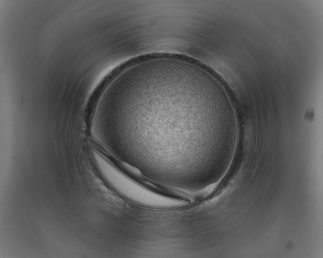 X0000093150926200709261442