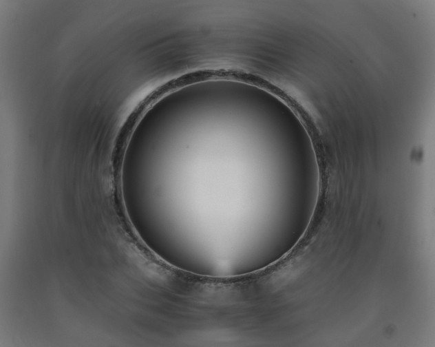 X0000093150927200709261442