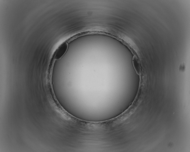 X0000093150928200709261442