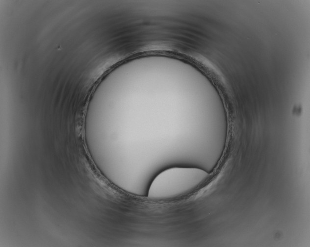 X0000093150929200709261442